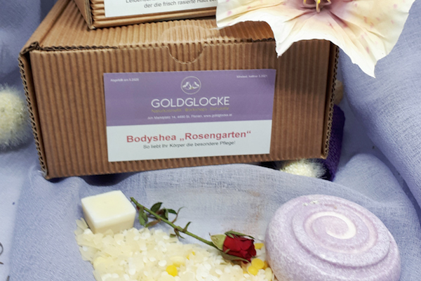 Paket und Setangebote_600x400