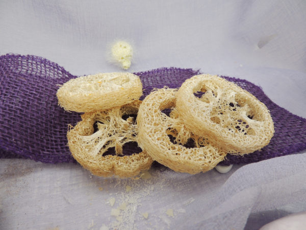 Luffa - Kosmetikablage vegan