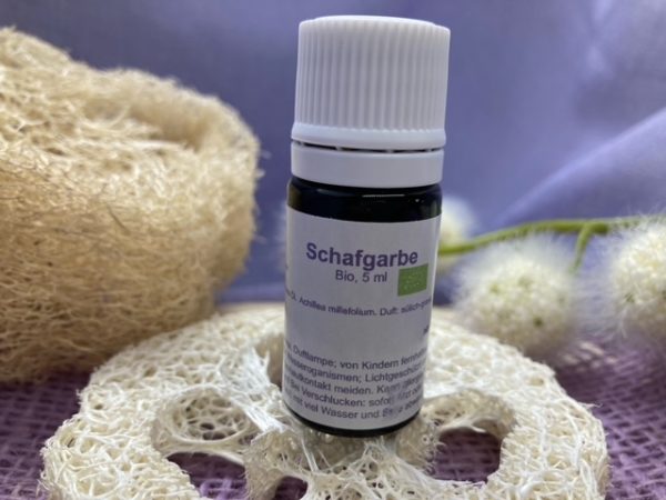 Schafgarbe
