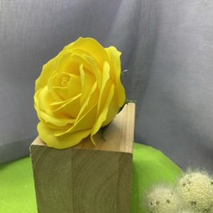 Rose groß gelb