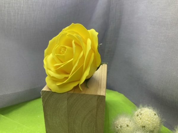 Rose groß gelb