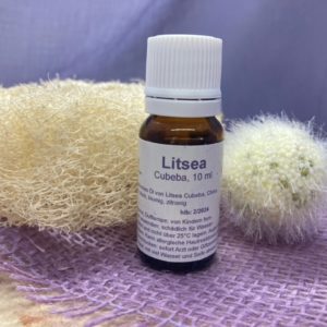 Litsea