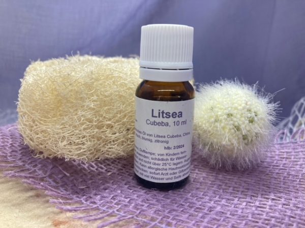 Litsea