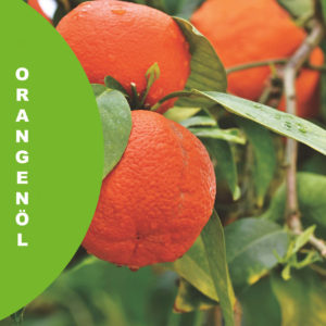 Orangeno¨l Bio Foto