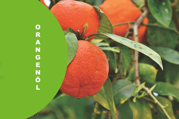 Orangeno¨l Bio Foto