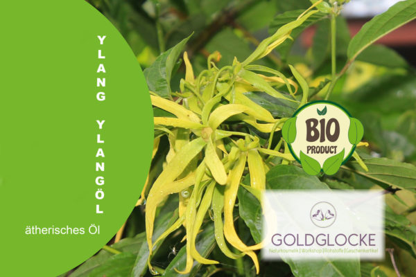 Ylang BIO