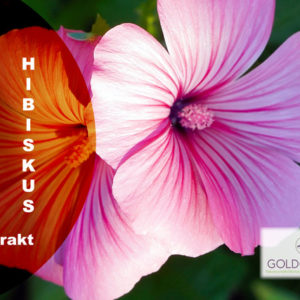 HibiskusHP