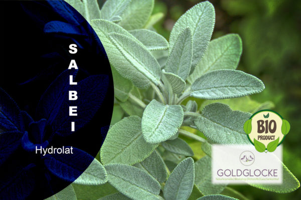 Salbeihydrolat BIO