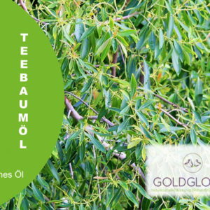 Teebaumöl BIO