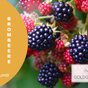 Brombeere HP