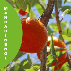 Mandarine rot