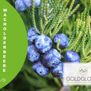 WacholderbeereHP