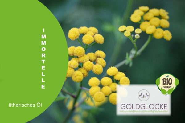 Immortelle HP