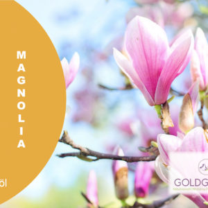 Magnolia
