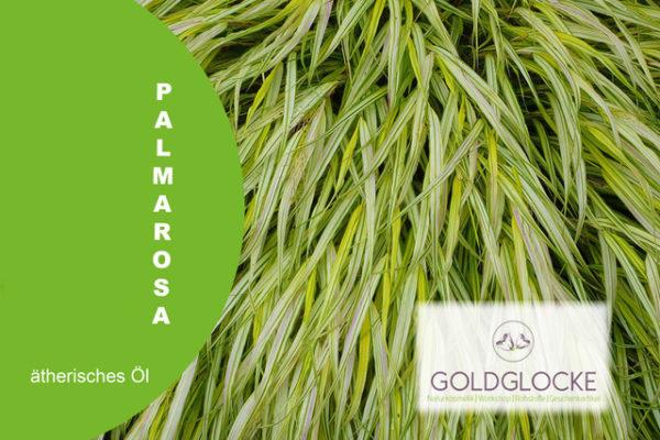 Palmarosa