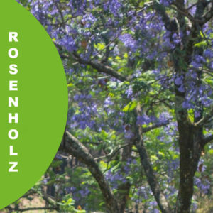 Rosenholz1