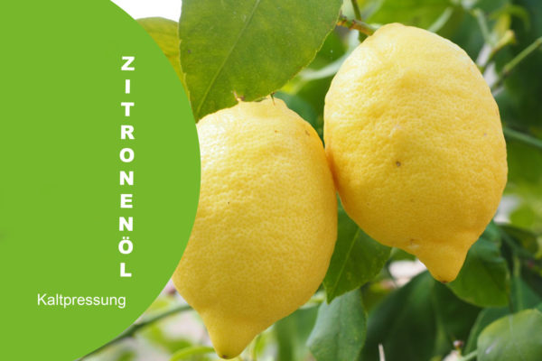 Zitrone