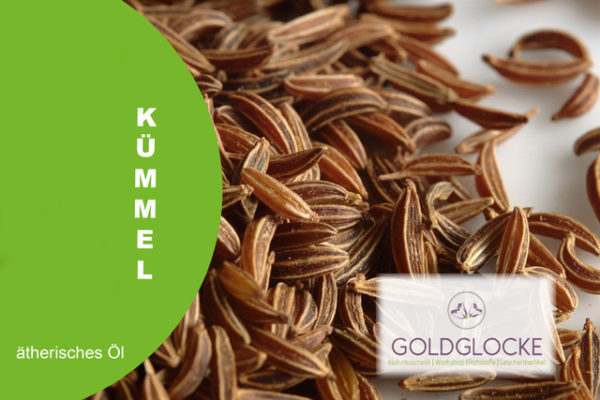 Kümmel HP