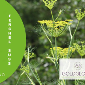 Fenchel Süß HP