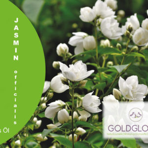 Jasmin HP