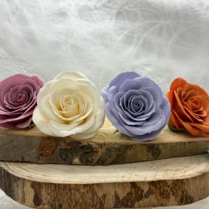 Rosen vintage alle