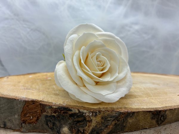 Rose weiß vintage