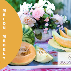Melon Medely HP