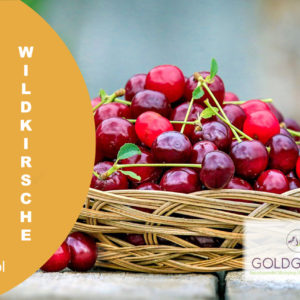 Wildkirsche HP