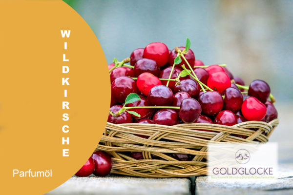 Wildkirsche HP
