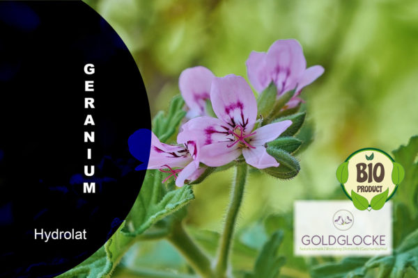 GeraniumHydr HP