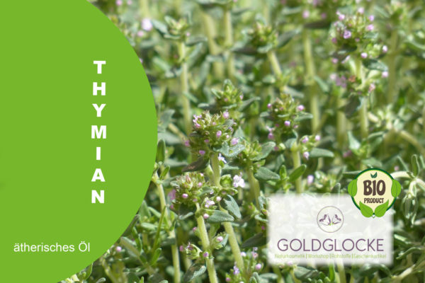 Thymian Bio