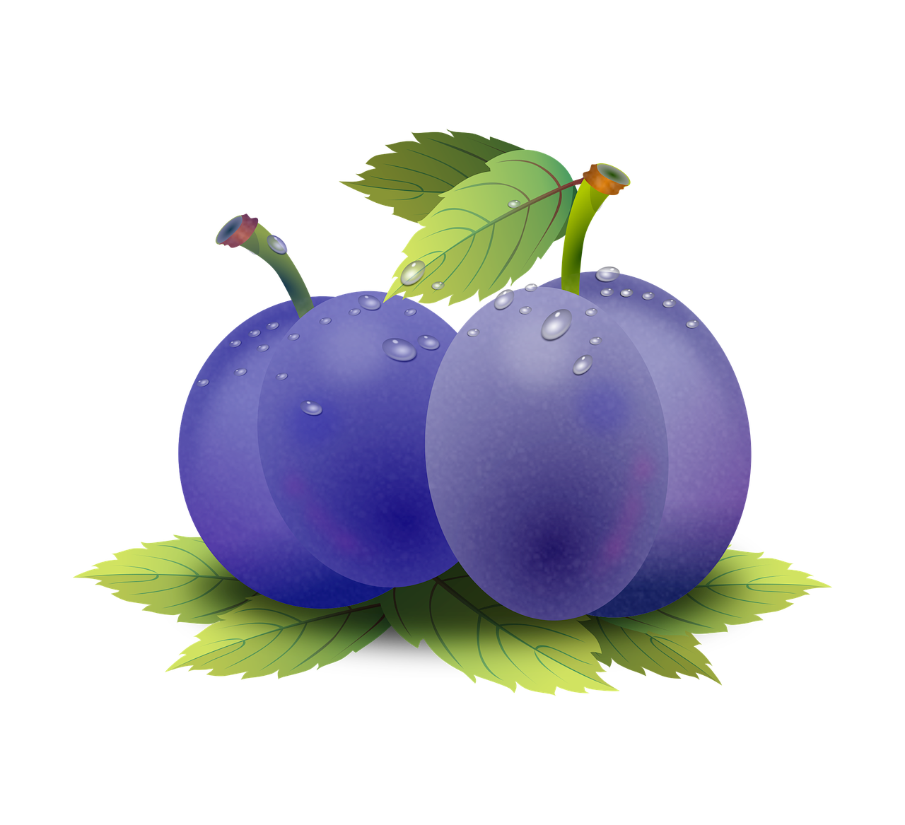 Neroliöl HP