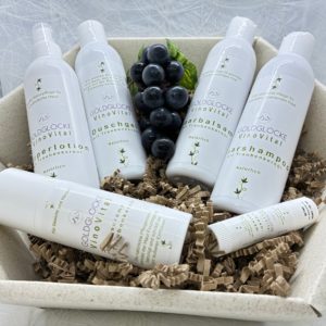 Vino Vital Komplettset