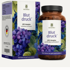 Screenshot 2026-09-29 at 14-38-44 NATURTREU Blutdruck · OPC Kapseln mit Q10 Kalium & Knoblauch